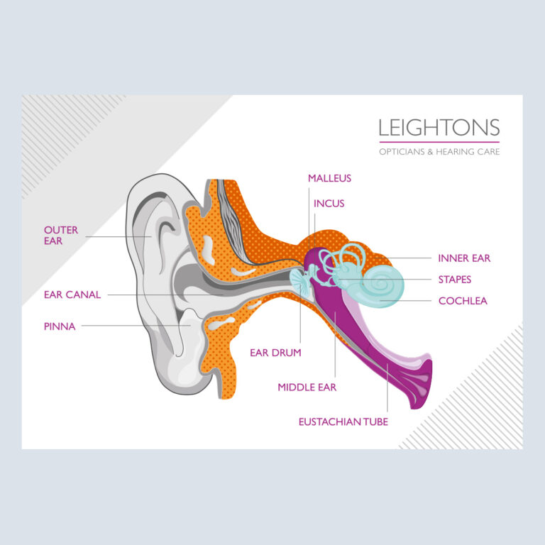 Ear Diagram Poster